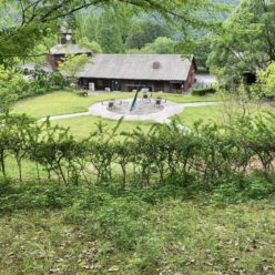 キャンプのはなし